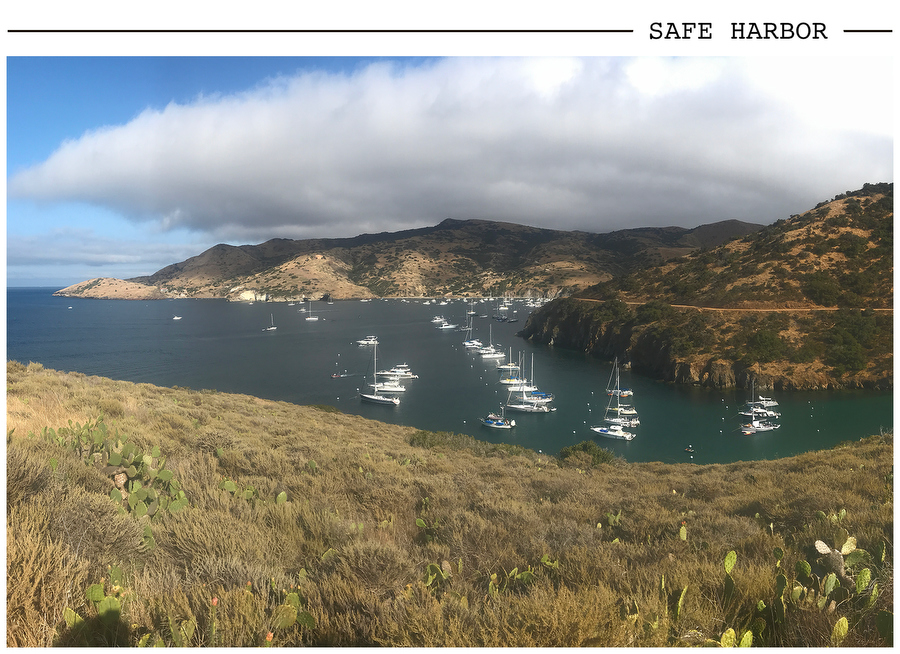 Safe Harbor postcard photo