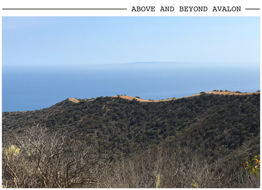 Above and Beyond Avalon postcard photo