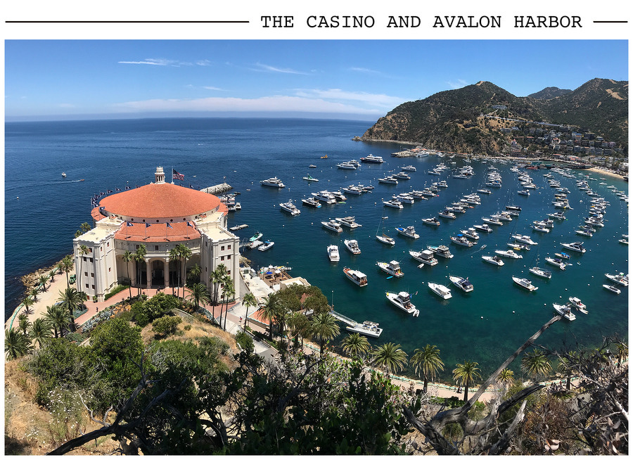 The Casino and Avalon Harbor postcard photo