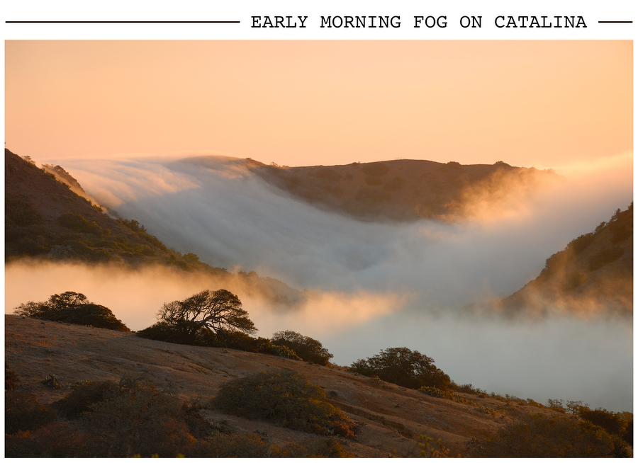 Early Morning Fog on Catalina postcard photo