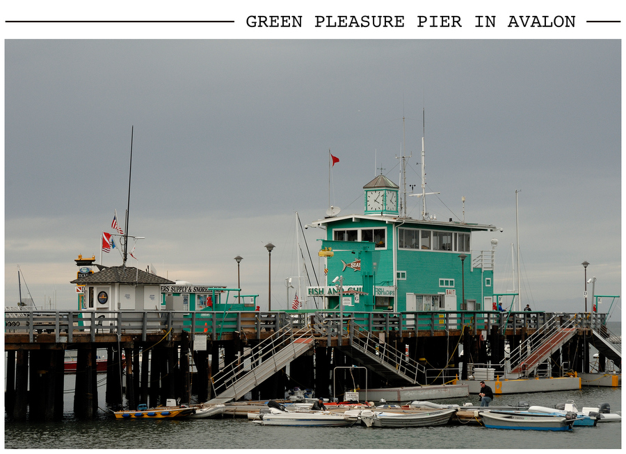 Green Pleasure Pier in Avalon postcard photo