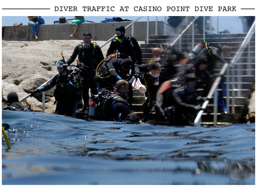 Diver Traffic at Casino Point Dive Park postcard photo