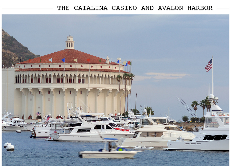 The Catalina Casino and Avalon Harbor postcard photo